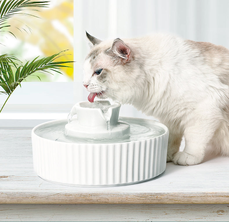 YES4PETS Ceramic Electric Pet Water Fountain Dog Cat Water Feeder Bowl Dispenser Pet Care > Dog Supplies > Dog Bowls, Feeders & Waterers Woofy and Whiskers