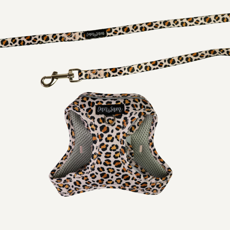 Wild One Step-in Cat Harness & Lead dan and sam Small Harness
