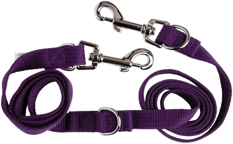 Beau Pets – Adjustable Webbing Lead Beau pets Purple