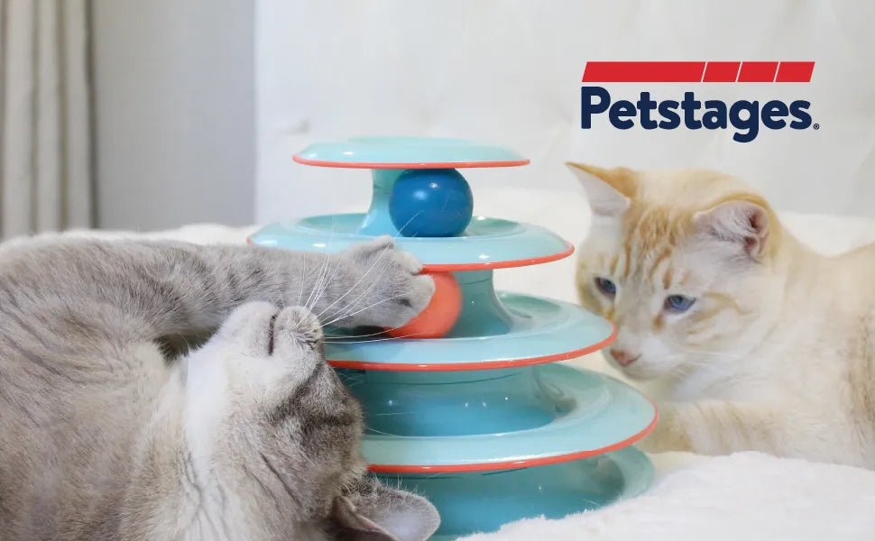 CATSTAGES CAT CHASE MEOWTAIN BLUE Cat toy Petstages
