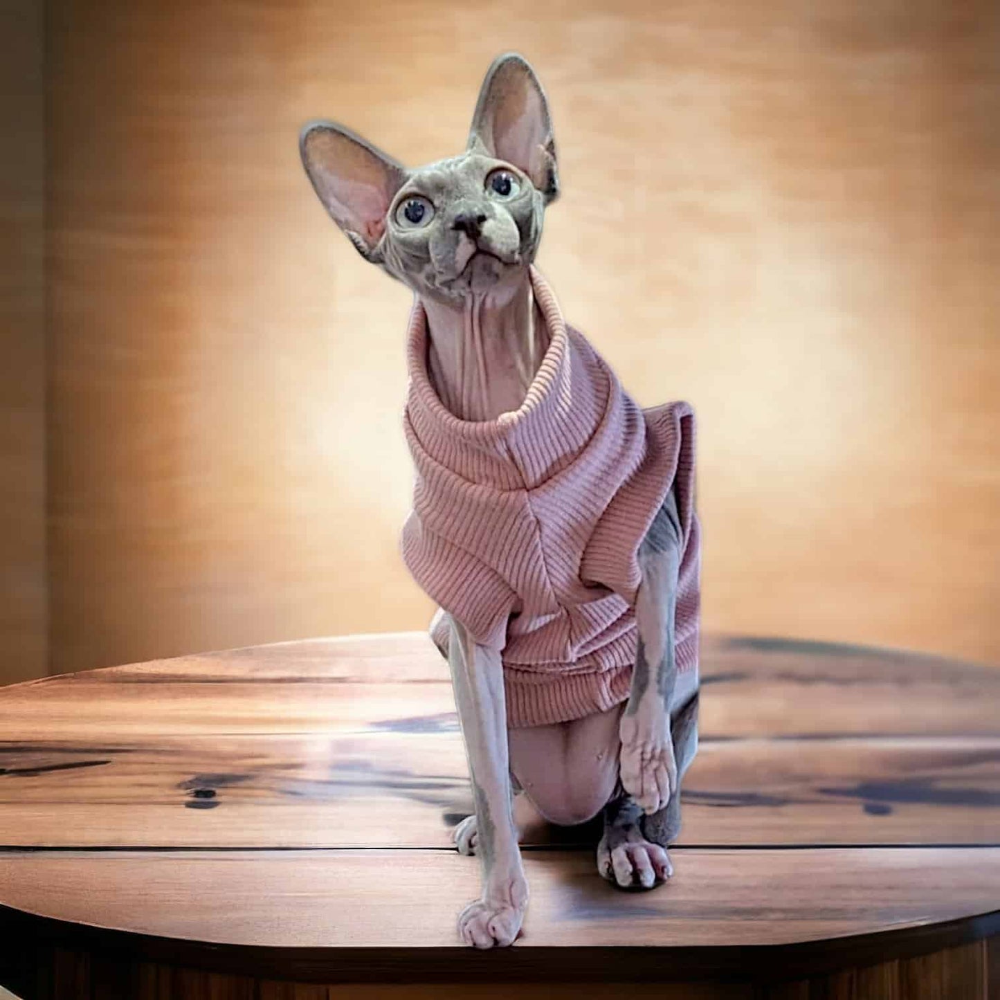 Cosy Feline Rib Knit Jumper - Mocha Queenie's Pawprints