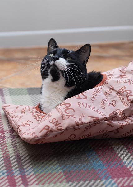 Rosewood Battersea Peek-A-Boo Sack Cat toy Rosewood