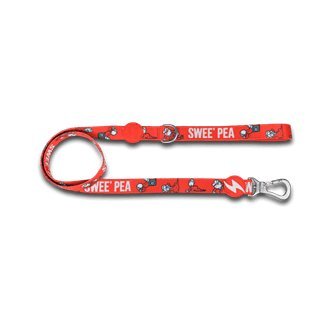 Vintage & Classy Sweet Pea - Small-Medium-Large Dog Collar DASHI Sweet Pea Leash Medium
