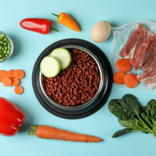 Pet Food and Dietary Needs - Woofy and Whiskers
