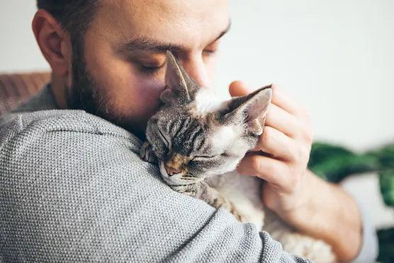 Why Choosing the Best Local Pet Supplies Store Is Important - Woofy and Whiskers