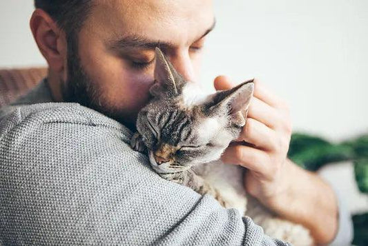 Why Choosing the Best Local Pet Supplies Store Is Important - Woofy and Whiskers