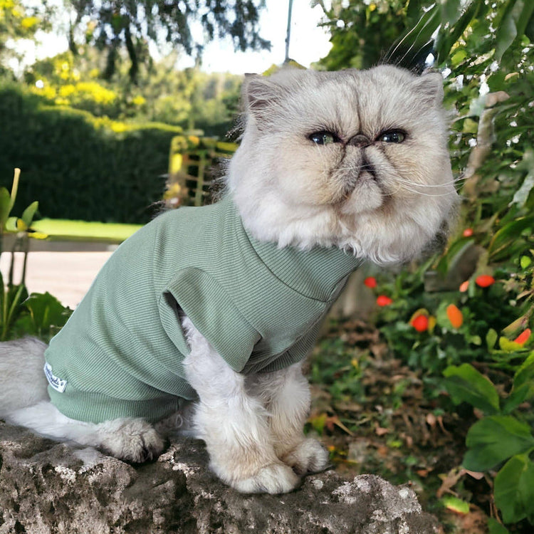Cat Clothing