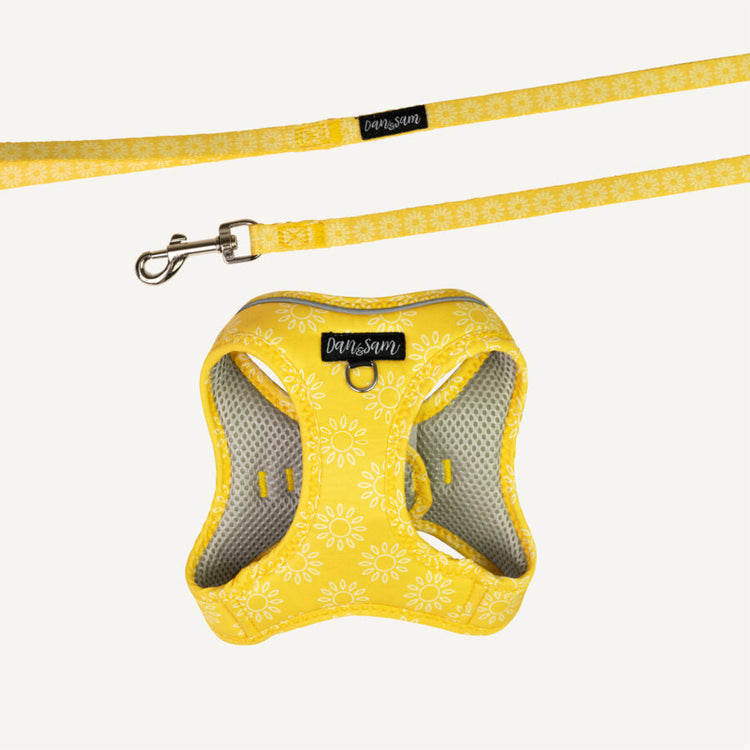 Cat Harness