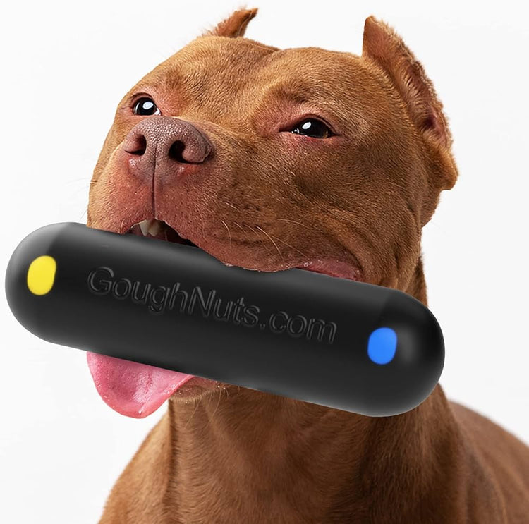 Best selling tough dog toys