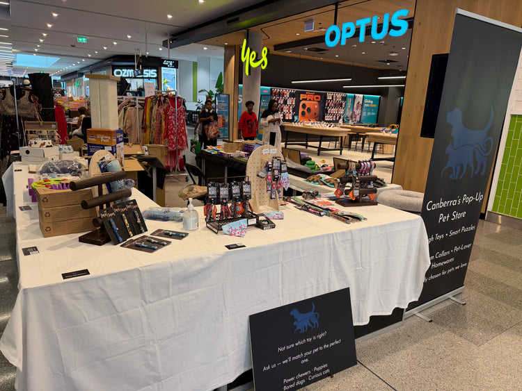 Pop Up Store