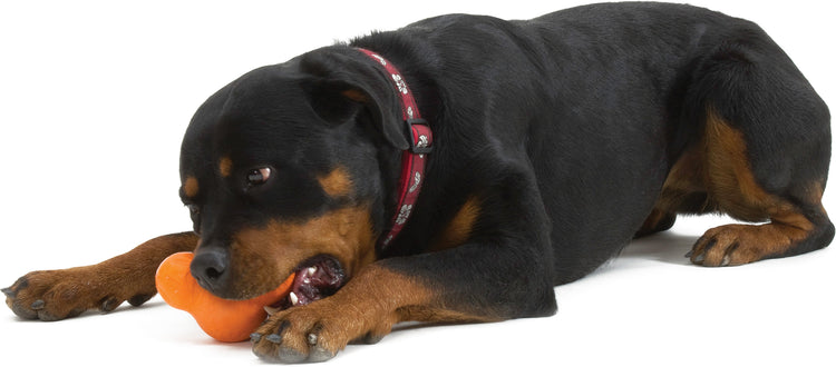Shop Eco-Friendly Dog Toys,Durable, Planet-Friendly Fun for Pups.