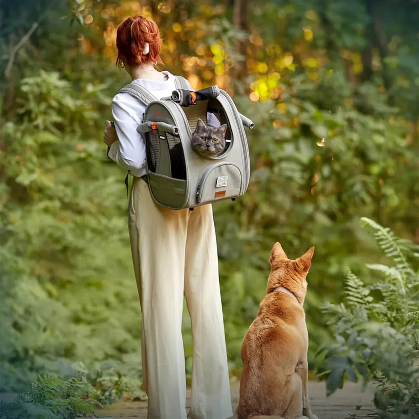 Backpacks & Carriers For Cats