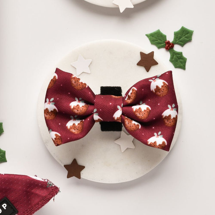 Pet christmas