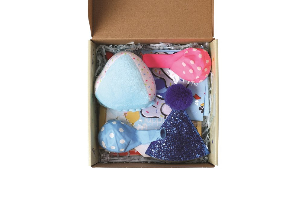 Dog birthday party set by mpets, including colorful hats, banners, and decorations for celebrating pets' special day.