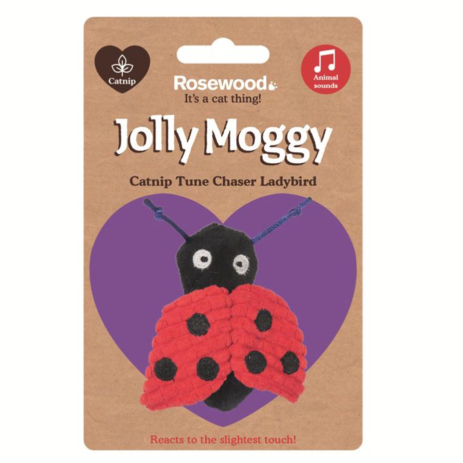 Rosewood Catnip Tune Chaser Bird catnip cat toy motion activated Rosewood Ladybug
