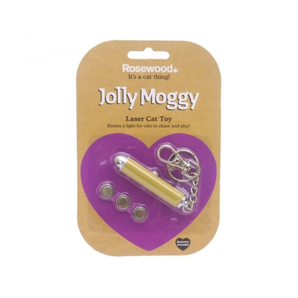 Jolly moggy laser cat toy