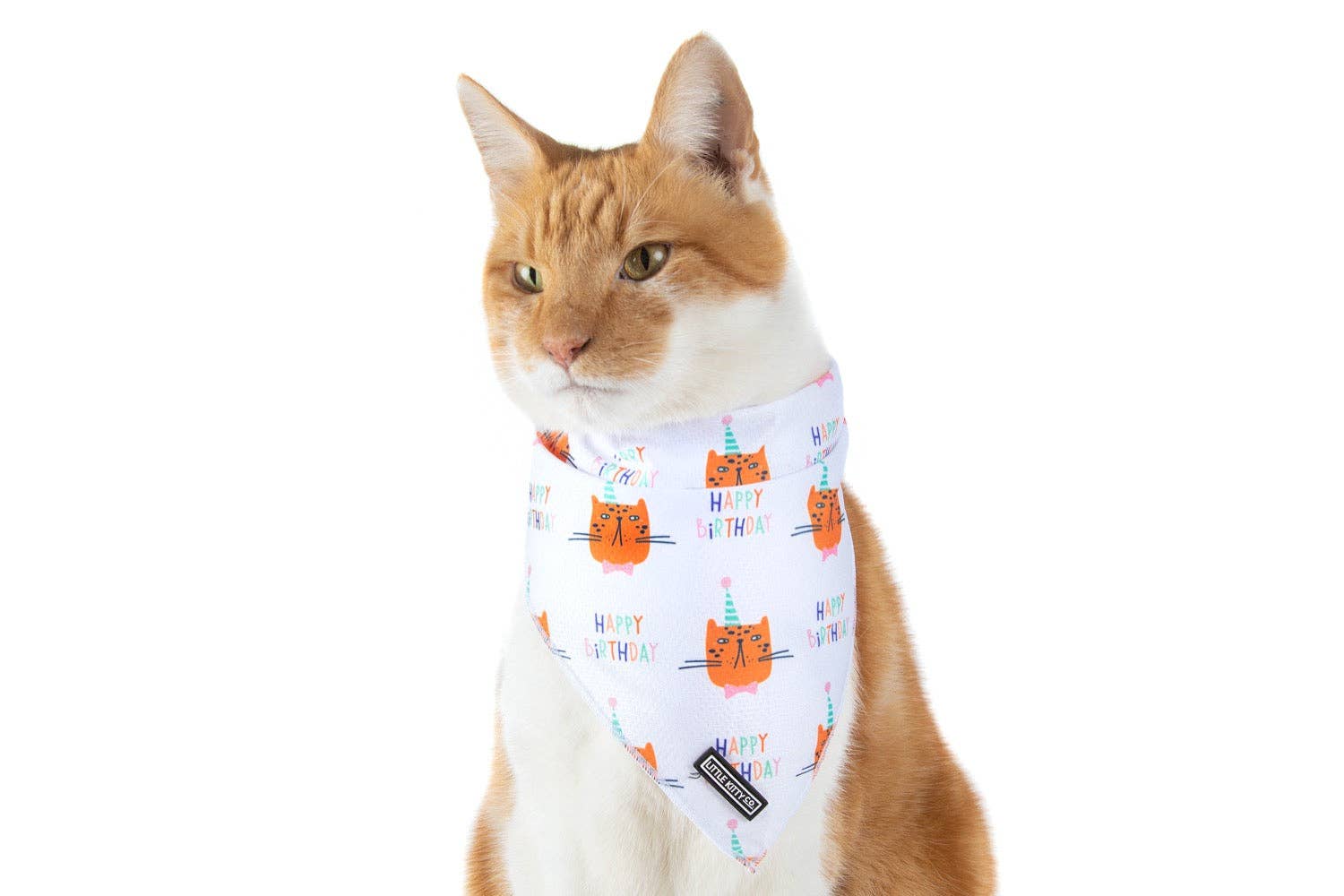 CAT BANDANA: Happy Birthday Little Kitty Co.