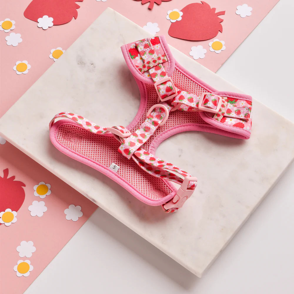 Cocopup London – Adjustable Neck Harness – Pupberry Fields Dog Harness Cocopup London