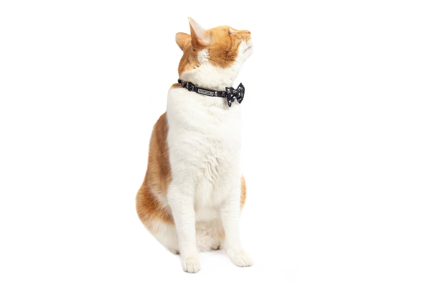 CAT COLLAR & BOW TIE: Baddest of them All Little Kitty Co.