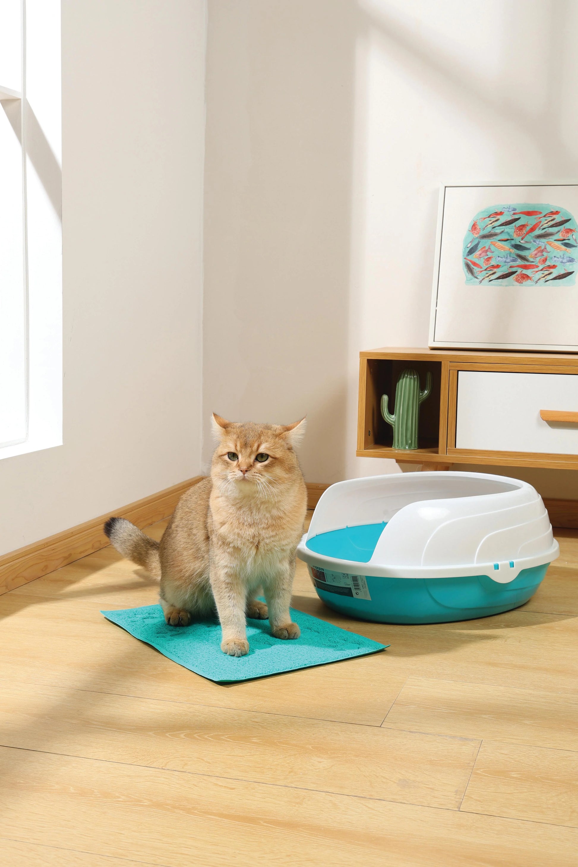 Mpets Footprint Cat Litter Mat Blue cat litter mat mpets
