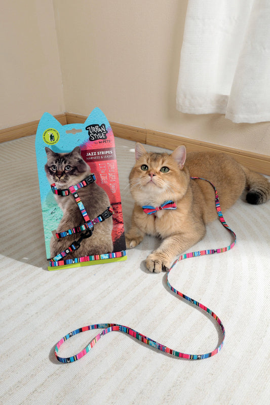 Gentle cat cat harness & Leash set Lightweight cat harness Mpets Jazz stripes