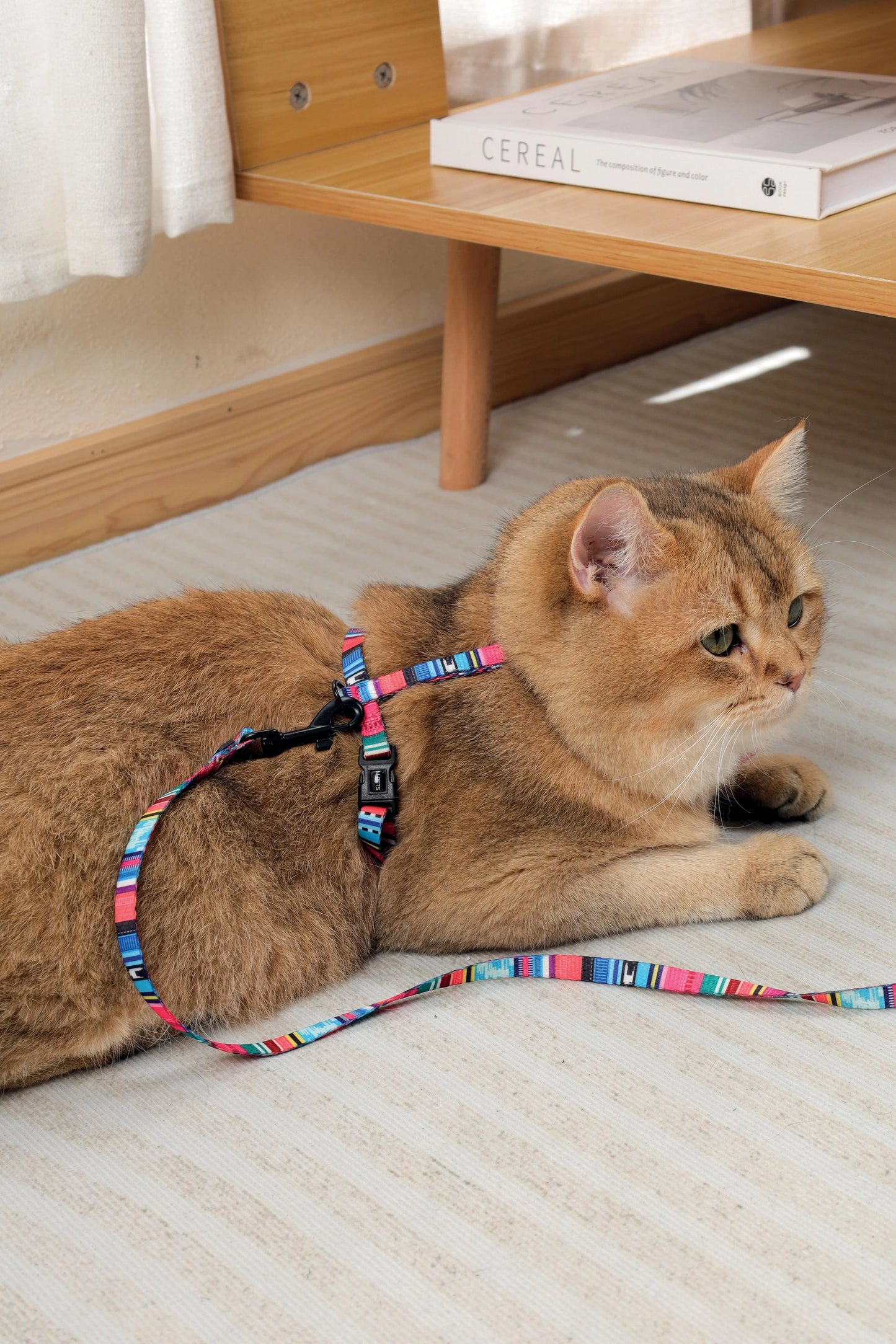 Gentle cat cat harness & Leash set Lightweight cat harness Mpets