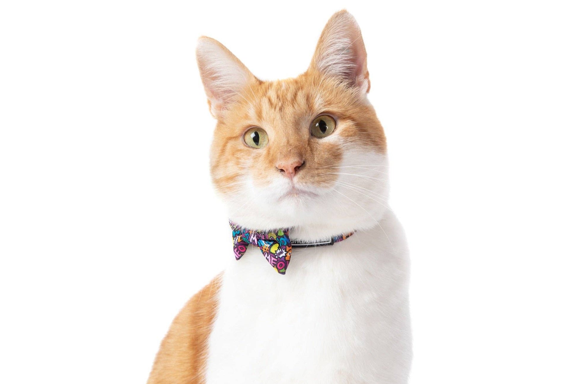 Little Kitty Co CAT COLLAR & BOW TIE: Graffiti Little Kitty Co.
