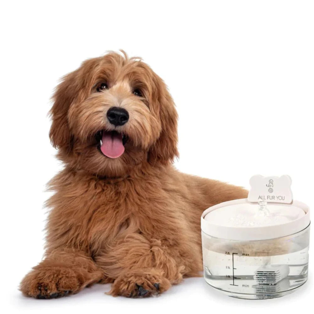 All Fur You Auto Sensor Water Fountain Usb