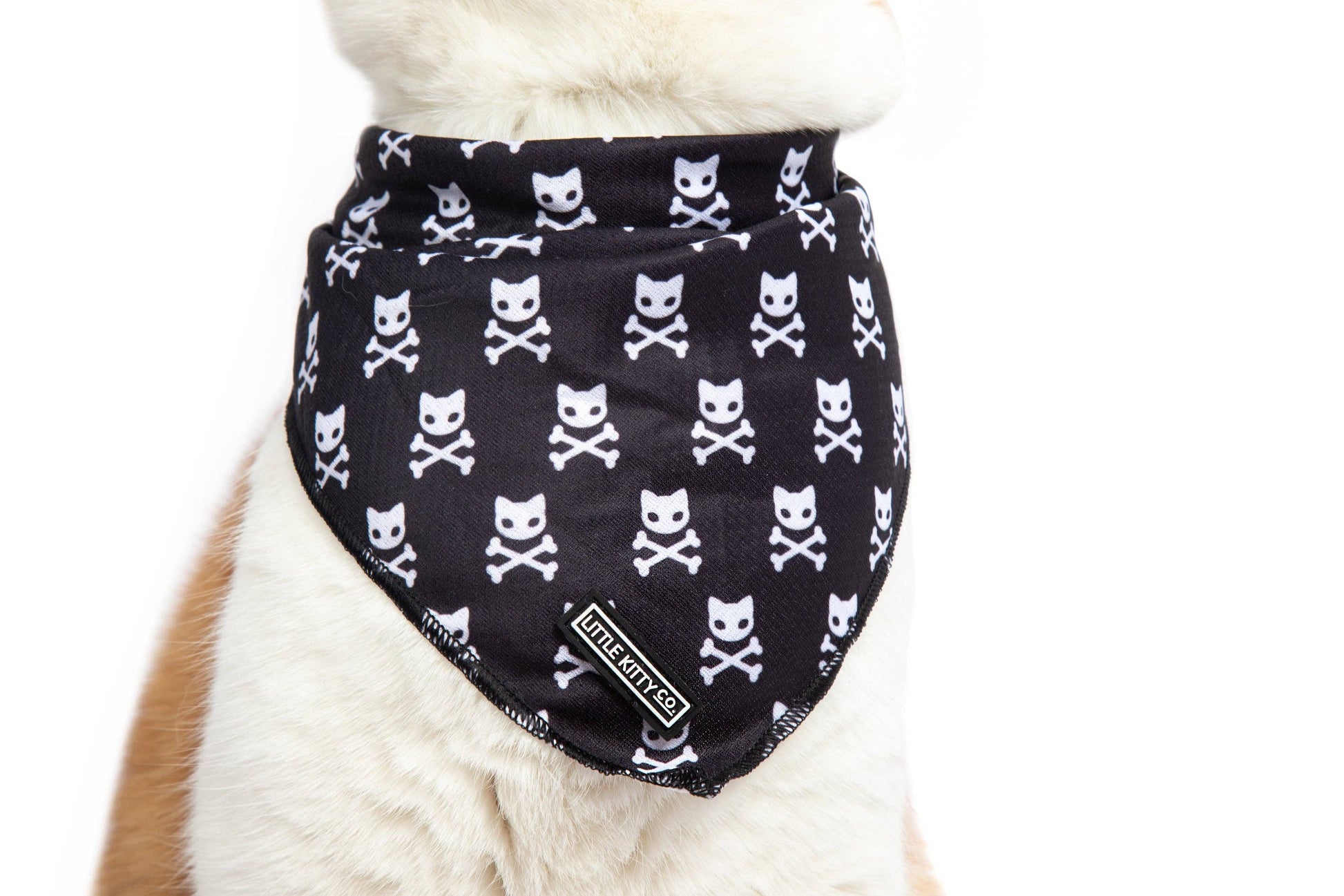 CAT BANDANA: Baddest of them All Little Kitty Co. S