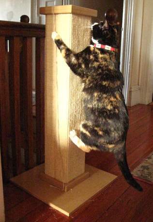 SmartCat Ultimate Heavy-Duty Sisal Cat Scratch Post Cat Toys and Scratchers Smartcat
