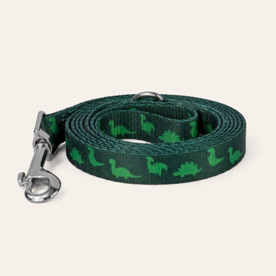 Dan & Sam Dinosaur Land Dog Harness, Small - Durable & Stylish, Fun Dinosaur Design, Comfortable Grip, Secure Attachment - Ideal for Walking Dogs Dog Harness dan and sam Small Leash