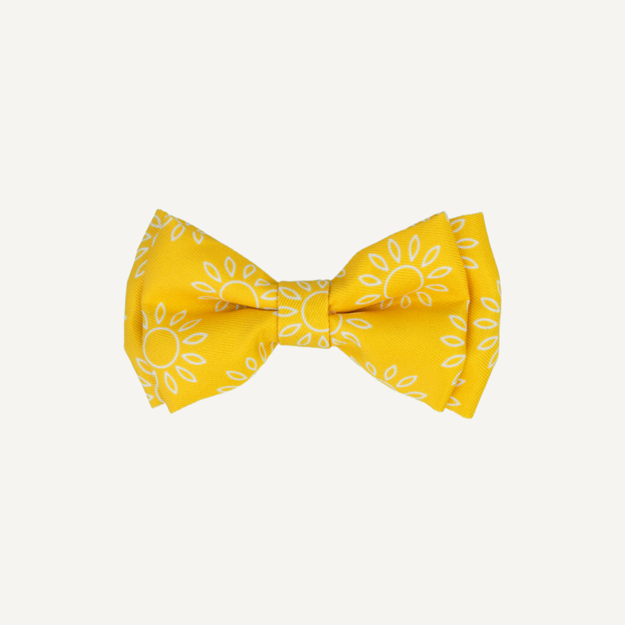 Dog Bow Tie Disco Party