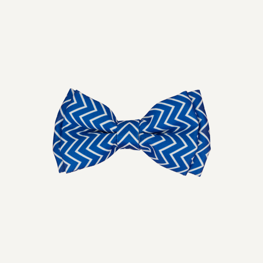 Dog Bow Tie Disco Party