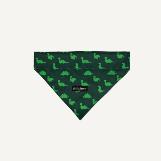 Dan & Sam Dinosaur Land Dog Harness, Small - Durable & Stylish, Fun Dinosaur Design, Comfortable Grip, Secure Attachment - Ideal for Walking Dogs Dog Harness dan and sam