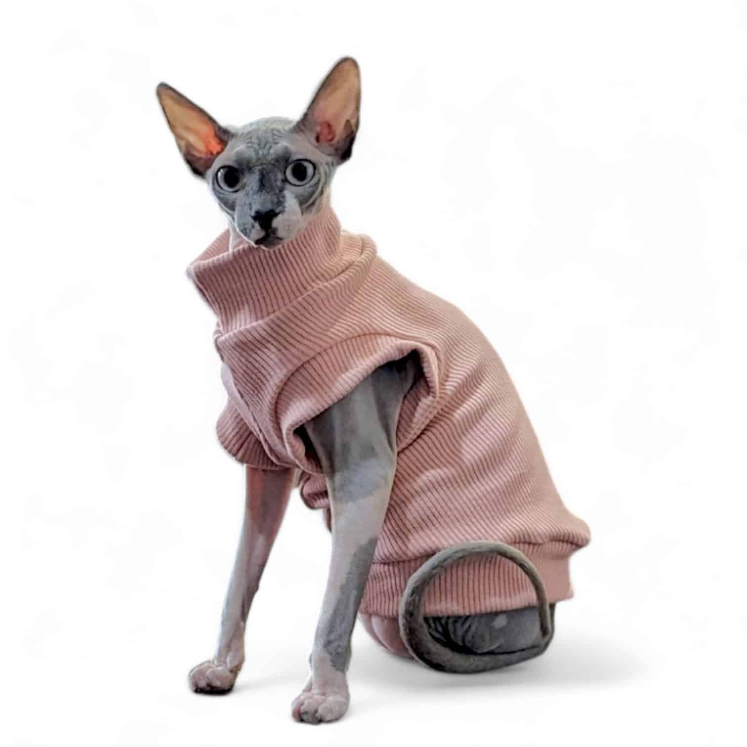 Cosy Feline Rib Knit Jumper - Mocha Queenie's Pawprints