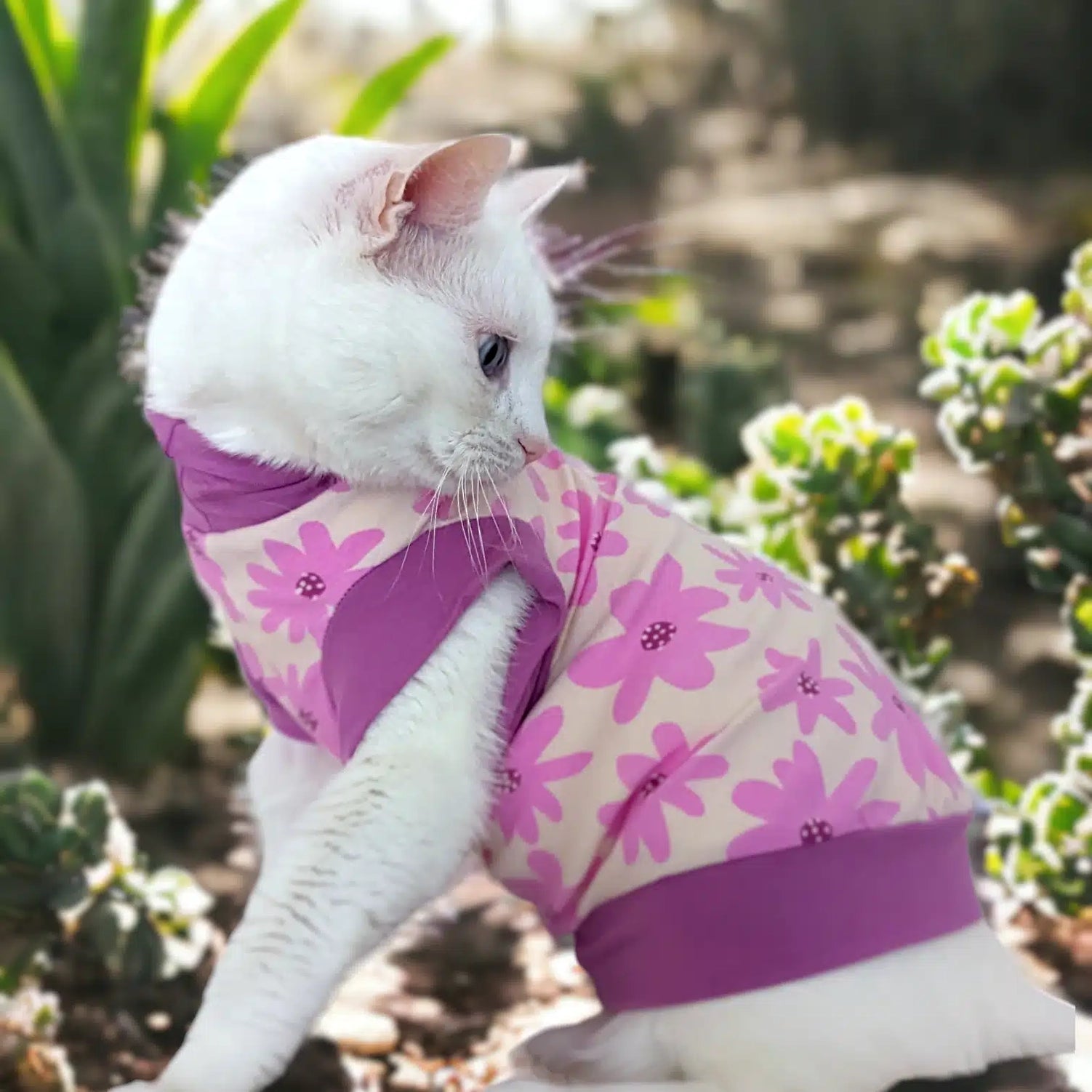 Queenie's Pawprints Cat Jumper - Le Fleur cat jumper Queenie's pawprints