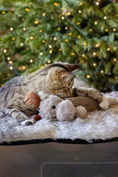 Rosewood REINDEER CARDBOARD CAT SCRATCHER