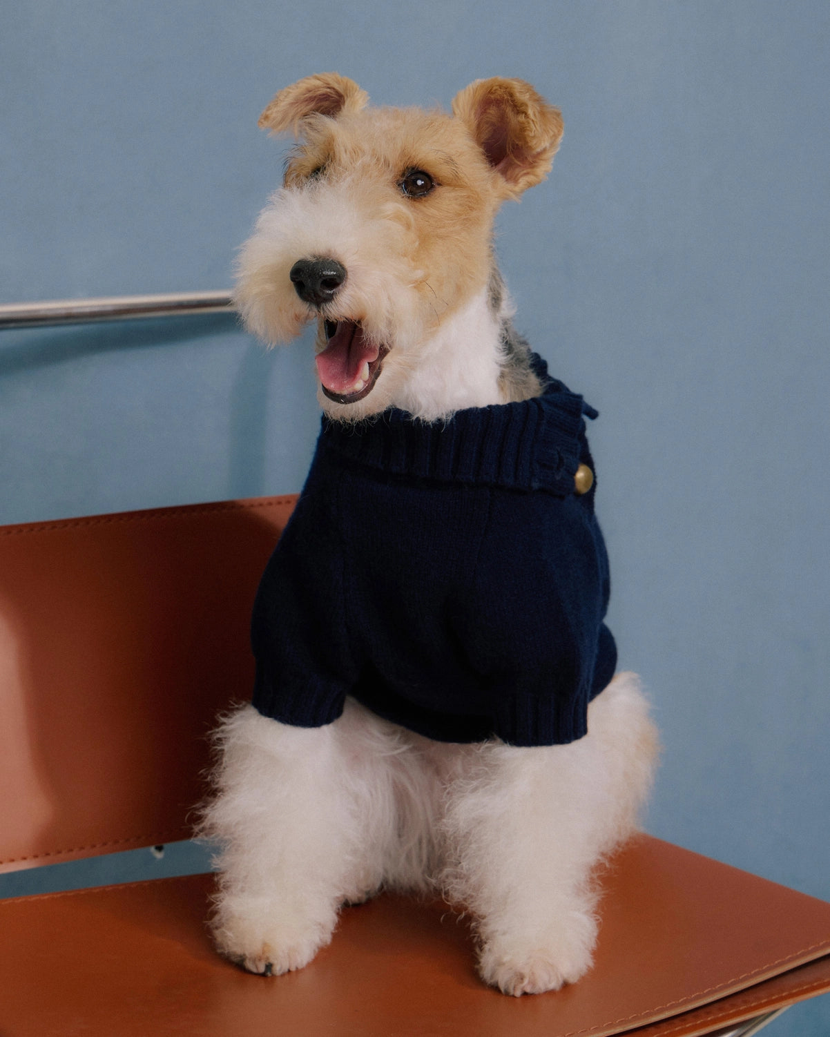 100% woolen dog jumper Merino Wool Dog Sweater with Vintage Dome Buttons Retro Red Merino wool 100% woolen dog jumper Cave Canem M Black
