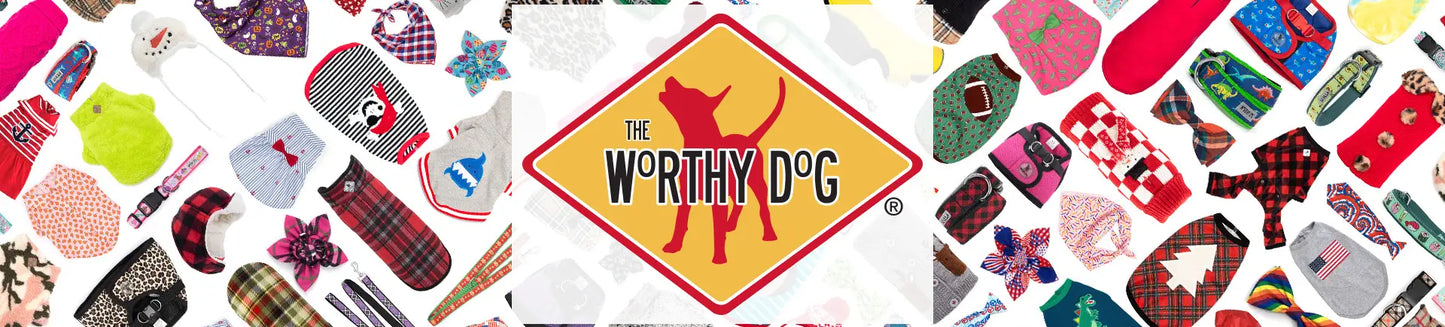 Ladybug Collar Dog Collar The Worthy Dog