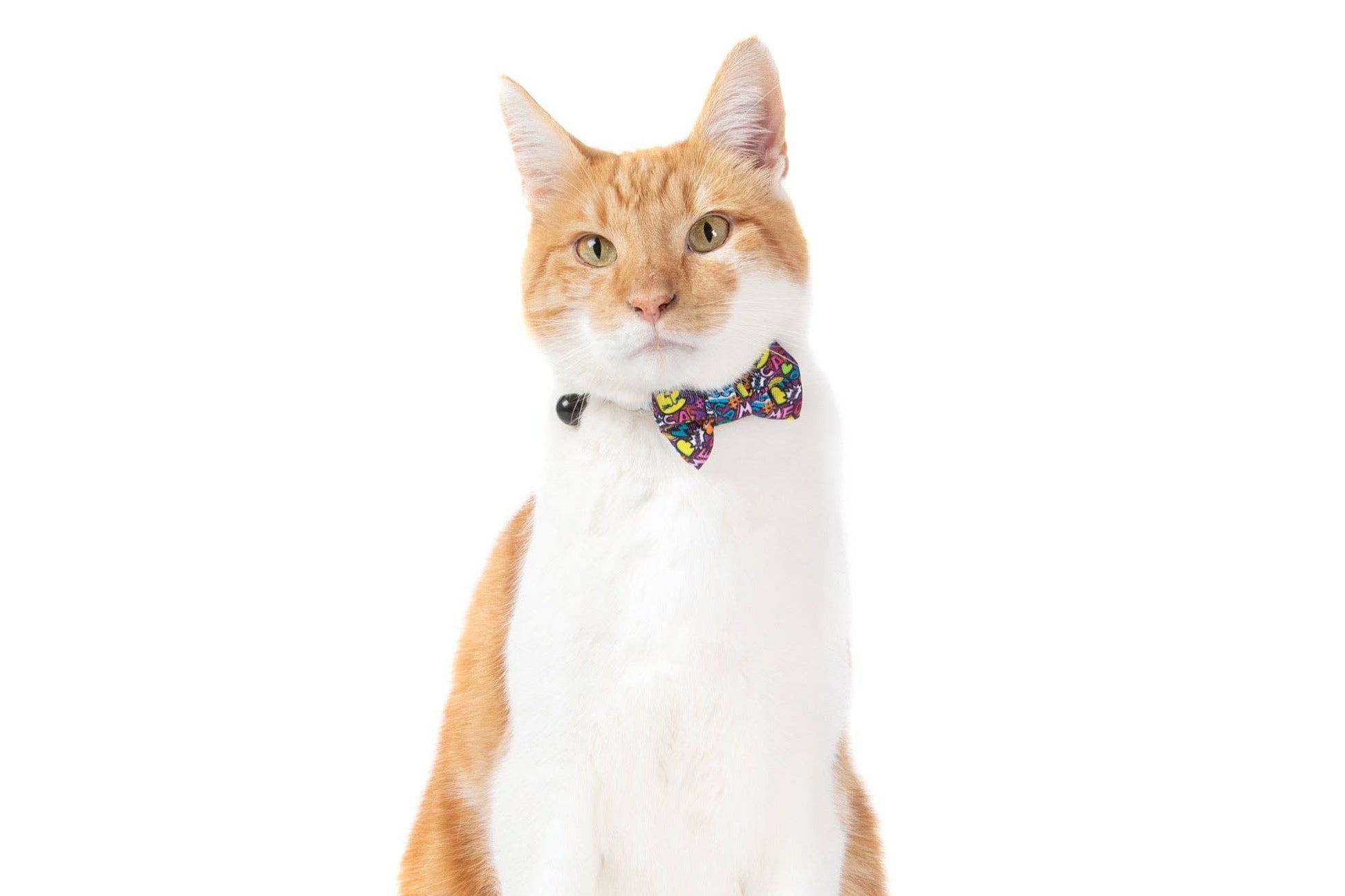 Little Kitty Co CAT COLLAR & BOW TIE: Graffiti Little Kitty Co.