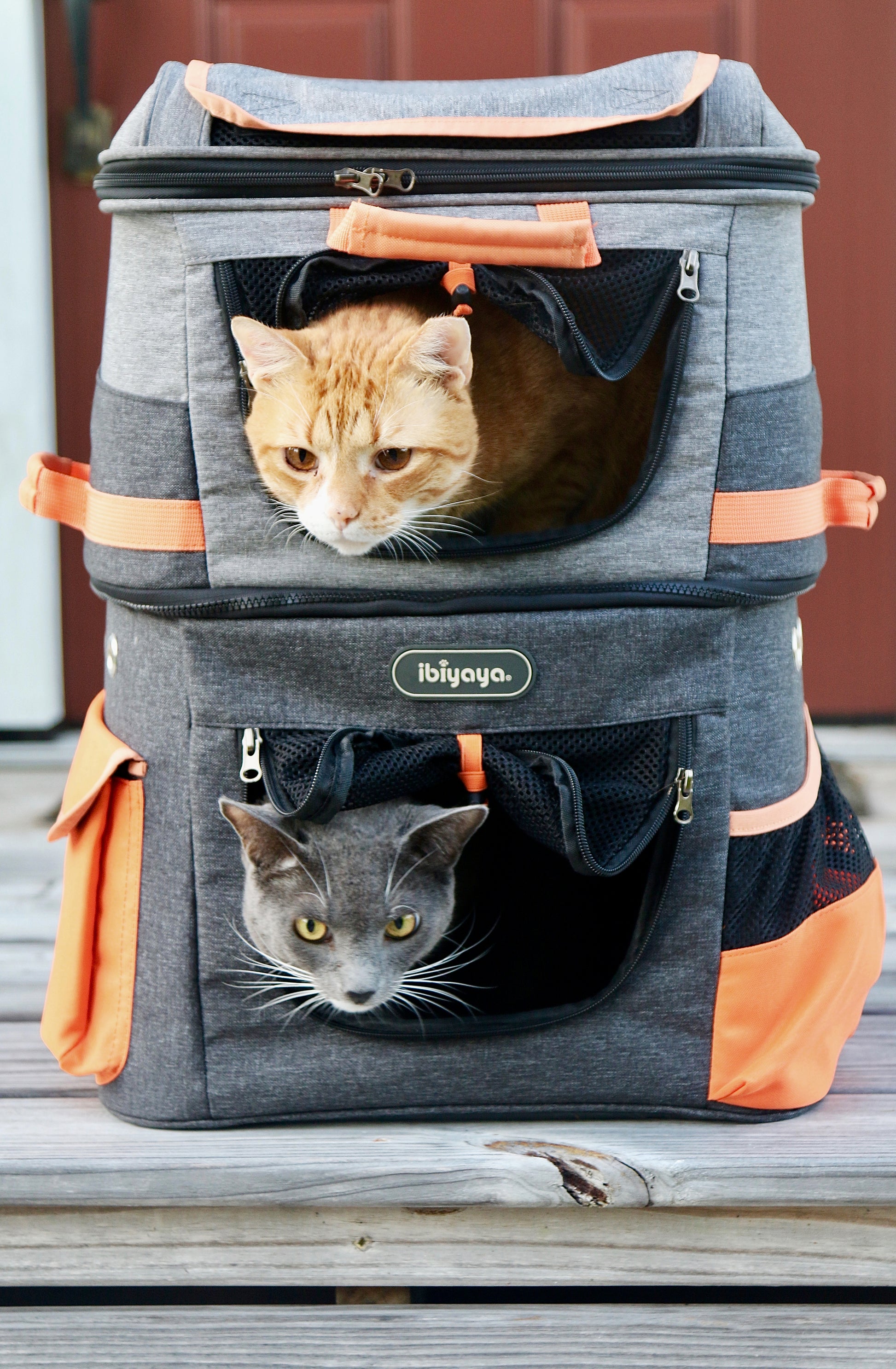 biyaya Two-tier Pet Backpack Pet Carrier Ibiyaya