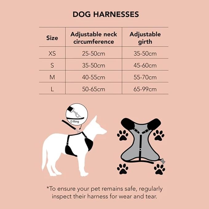 Dan & Sam Dinosaur Land Dog Harness, Small - Durable & Stylish, Fun Dinosaur Design, Comfortable Grip, Secure Attachment - Ideal for Walking Dogs Dog Harness dan and sam