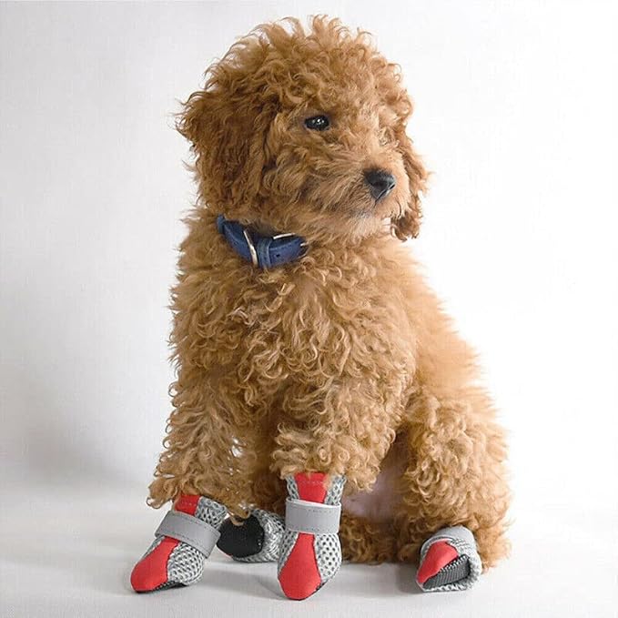 Dog boots dog boots AIMALL