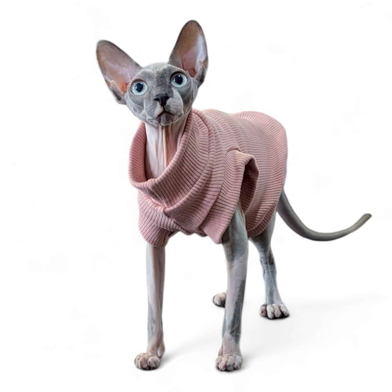 Cosy Feline Rib Knit Jumper - Mocha Queenie's Pawprints Medium