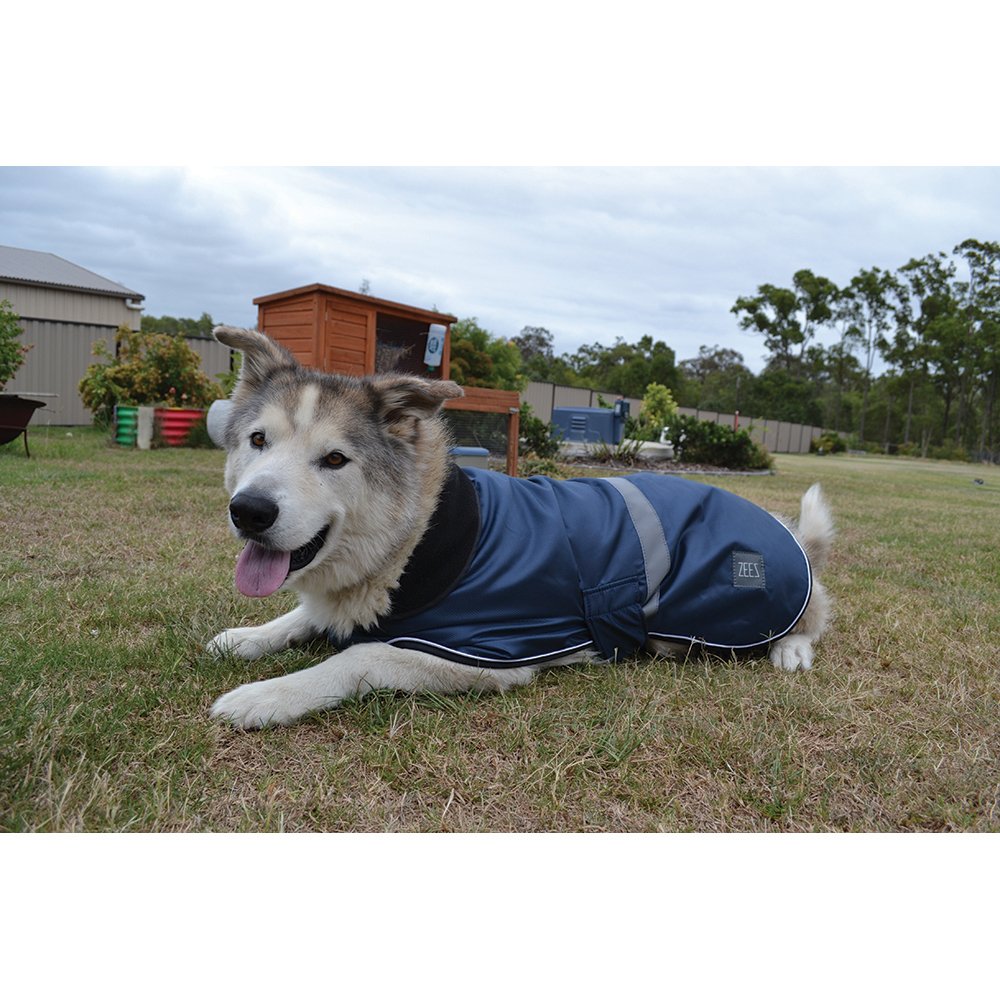 ZeeZ – Waterproof Dapper Dog Coat – Old Navy Dog Apparel Zeez