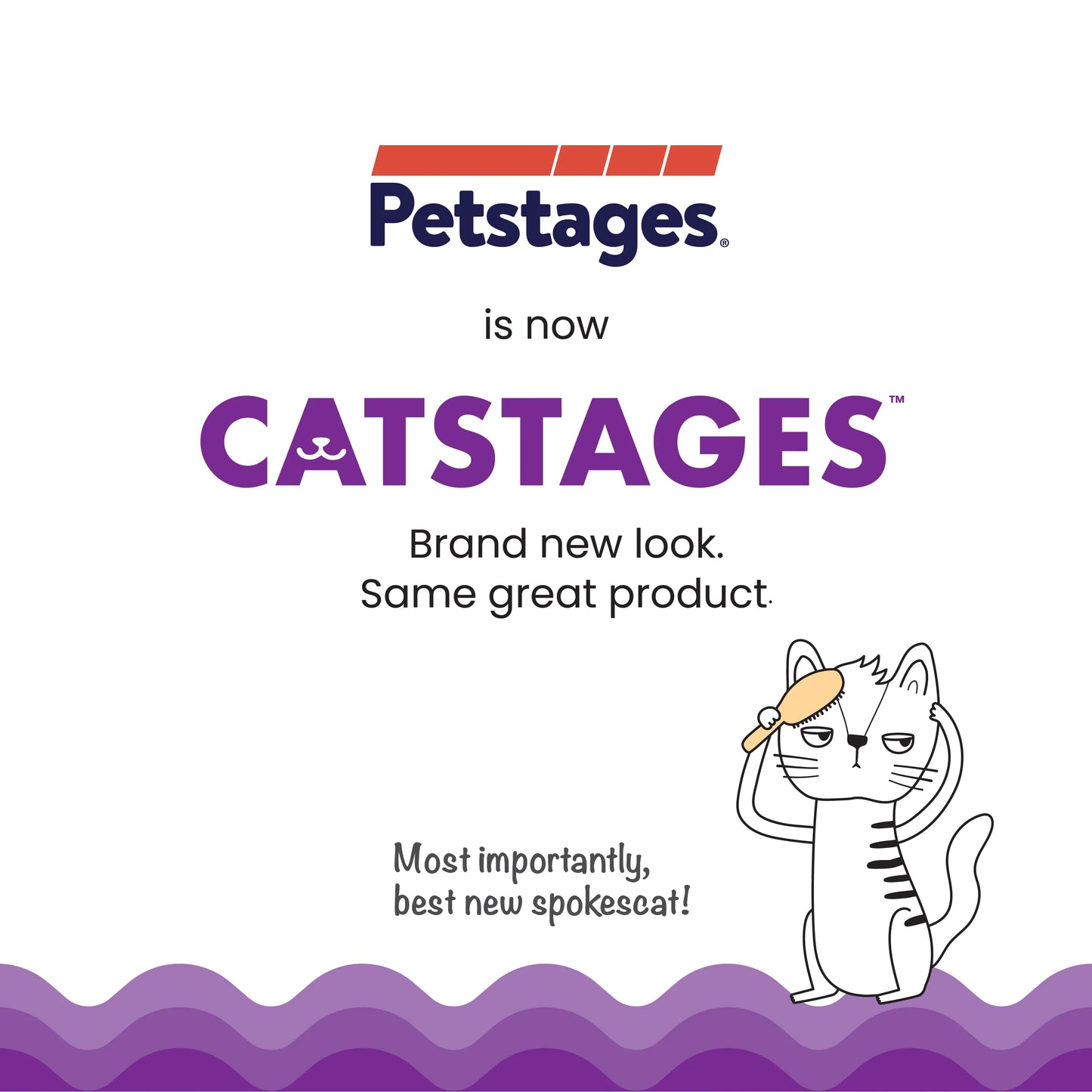 CATSTAGES CAT CHASE MEOWTAIN BLUE Cat toy Petstages