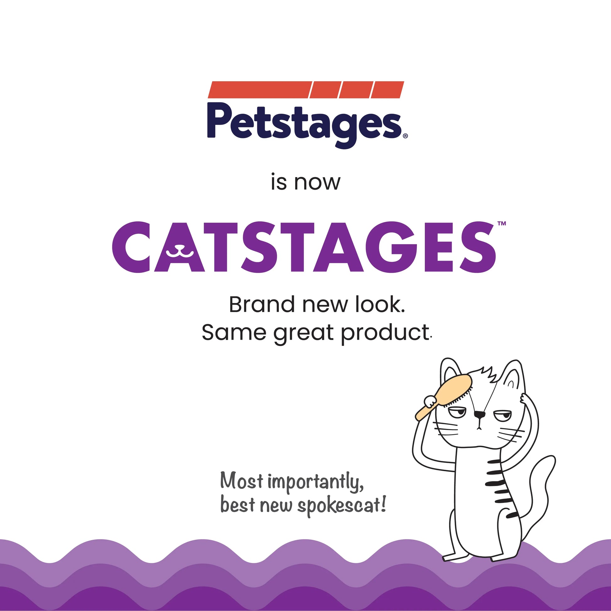 CATSTAGES CAT CHASE MEOWTAIN BLUE Cat toy Petstages