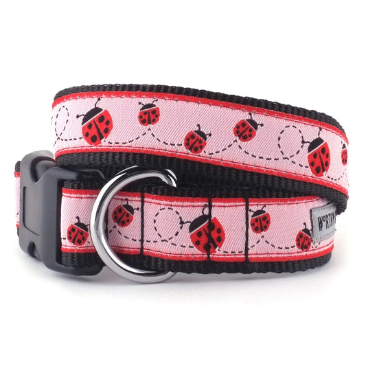 Ladybug Collar Dog Collar The Worthy Dog XL Ladybug