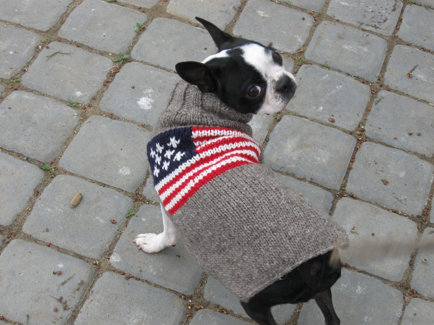 Chilly Dog American Flag Handknit Wool Dog Sweater 100% dog sweater chilly dog M