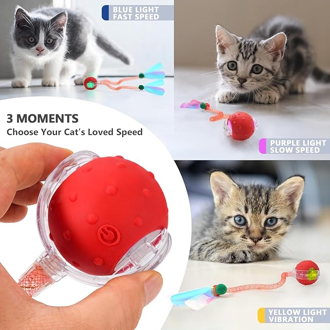 Interactive cat ball Interactive cat toy HHomen